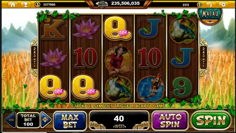 Golden Harvest spin with a win on the Live22 app