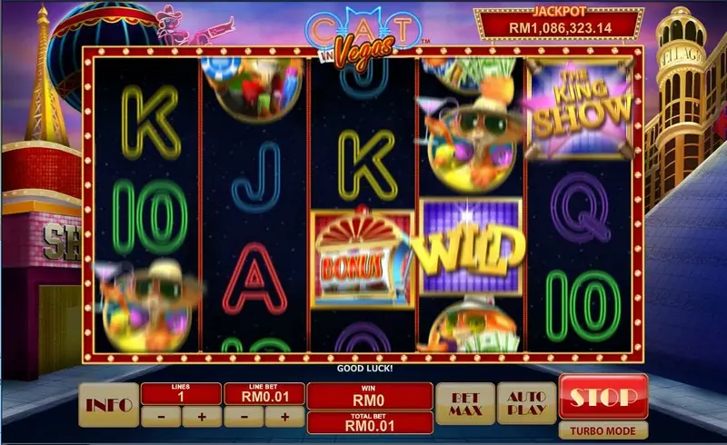 Cat In Vegas wheel of luck bonus with cash prizes on the segments